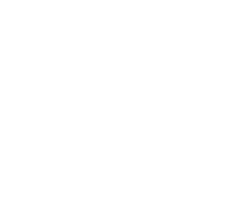 grey circle shape